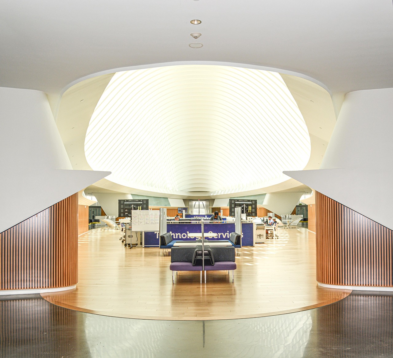 contemporary academic interior representing research and governance